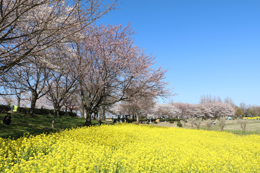 上堰潟公園３