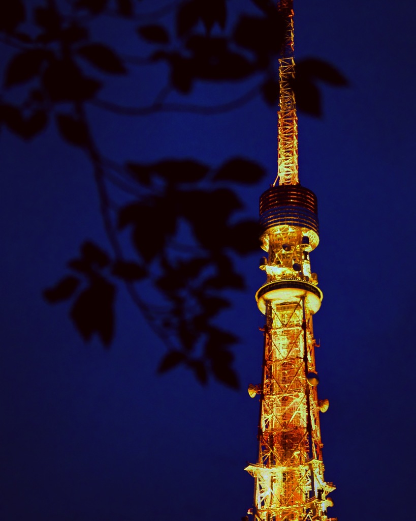 広角でお寺？も入れたかった〜