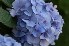 ちょっと休憩中…にしては豪華な足場ですね！