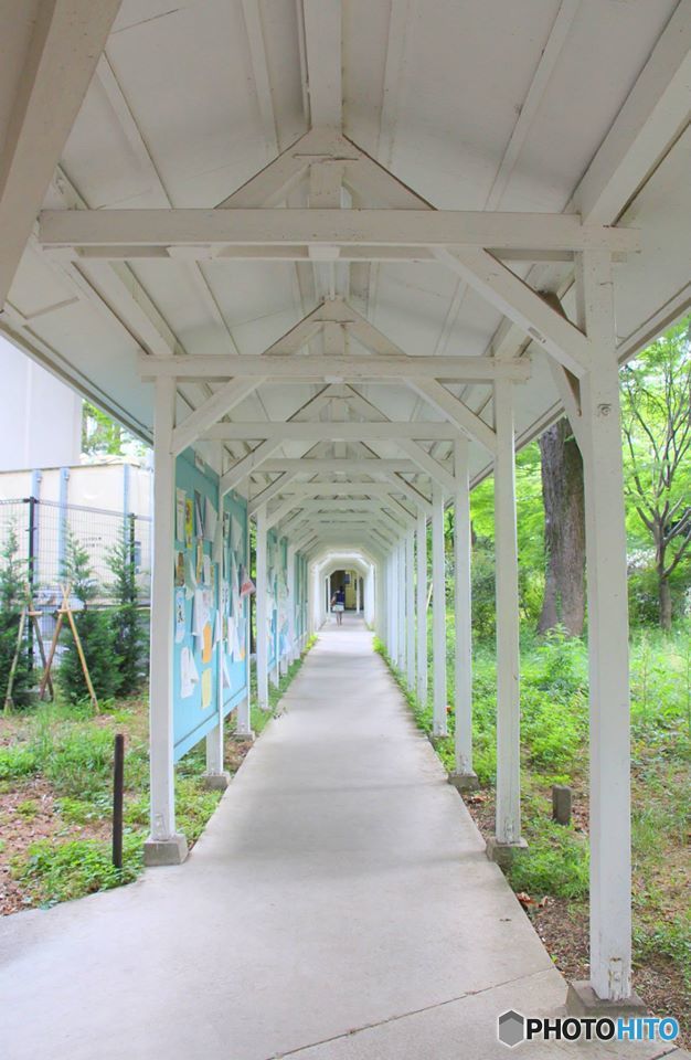 時をかける少女