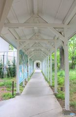 時をかける少女