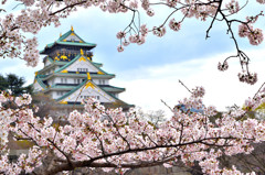 大阪城もお花見