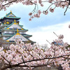 大阪城もお花見