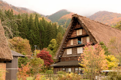白川郷