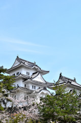 伊賀城