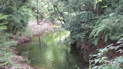 山道の合間に