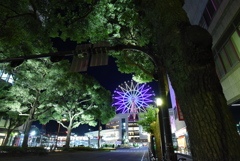 鹿児島中央駅Ⅱ