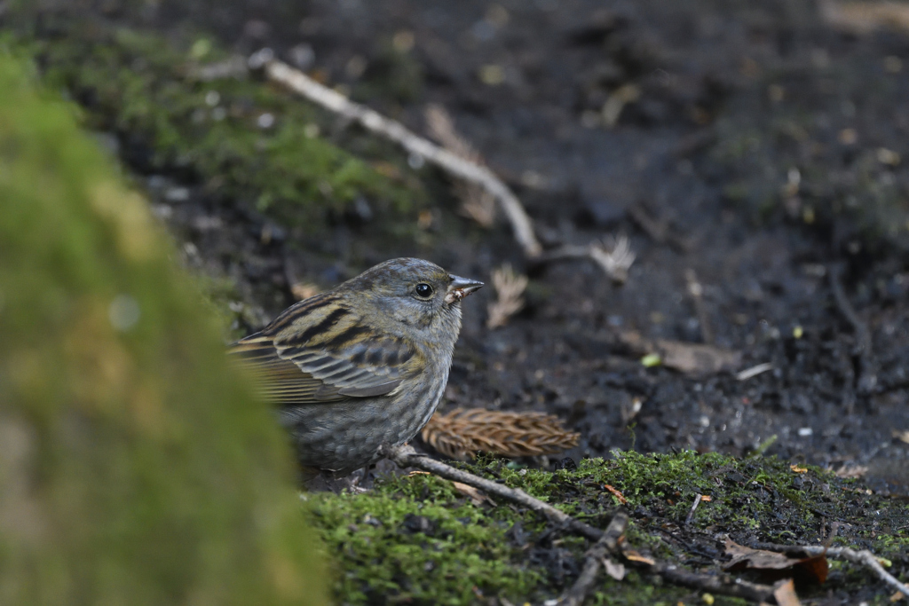ちょっとだけ・・・