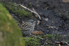 ちょっとだけ・・・