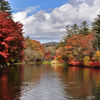 紅葉の雲場池