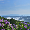 紫陽花そして雲海遠望