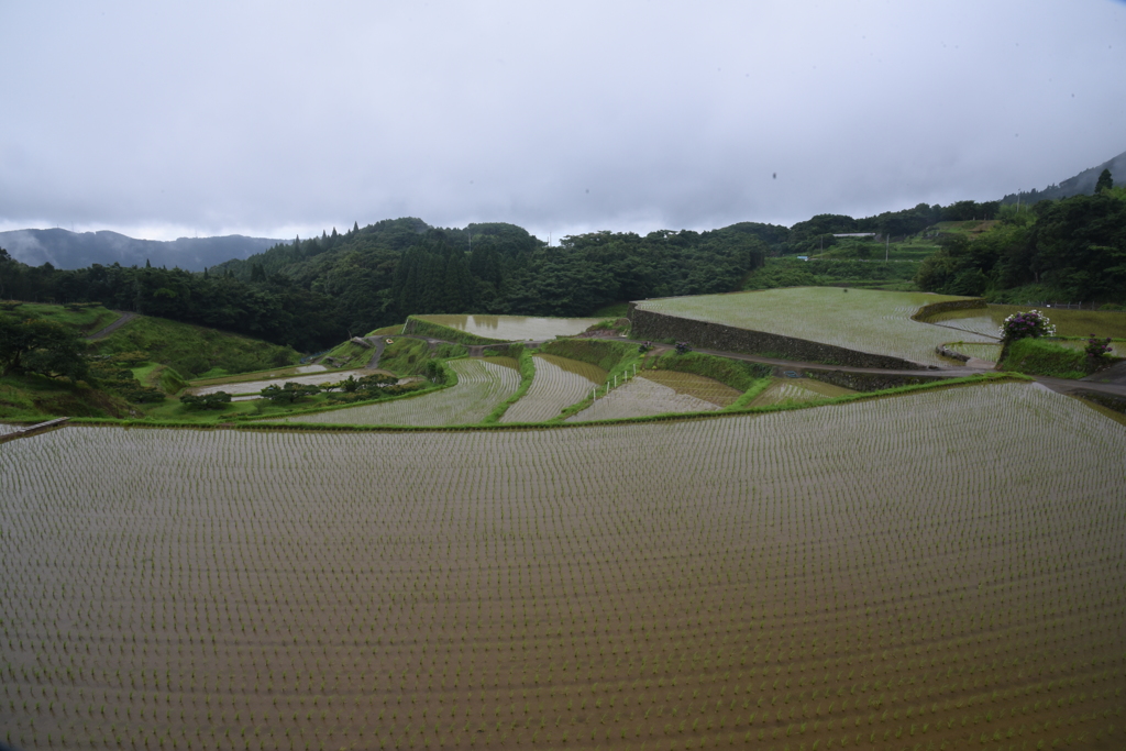 ひっそりと棚田