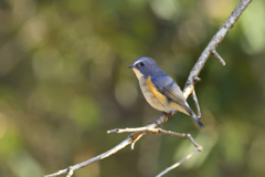 待っていましたよ