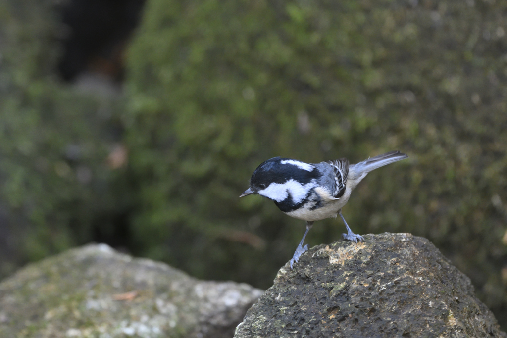 魅力に気づいた日