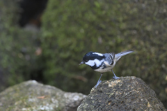 魅力に気づいた日
