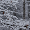 武蔵野雪景色Ⅲ