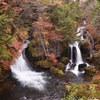 秋深まる竜頭の滝