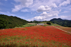天空の花畑Ⅱ