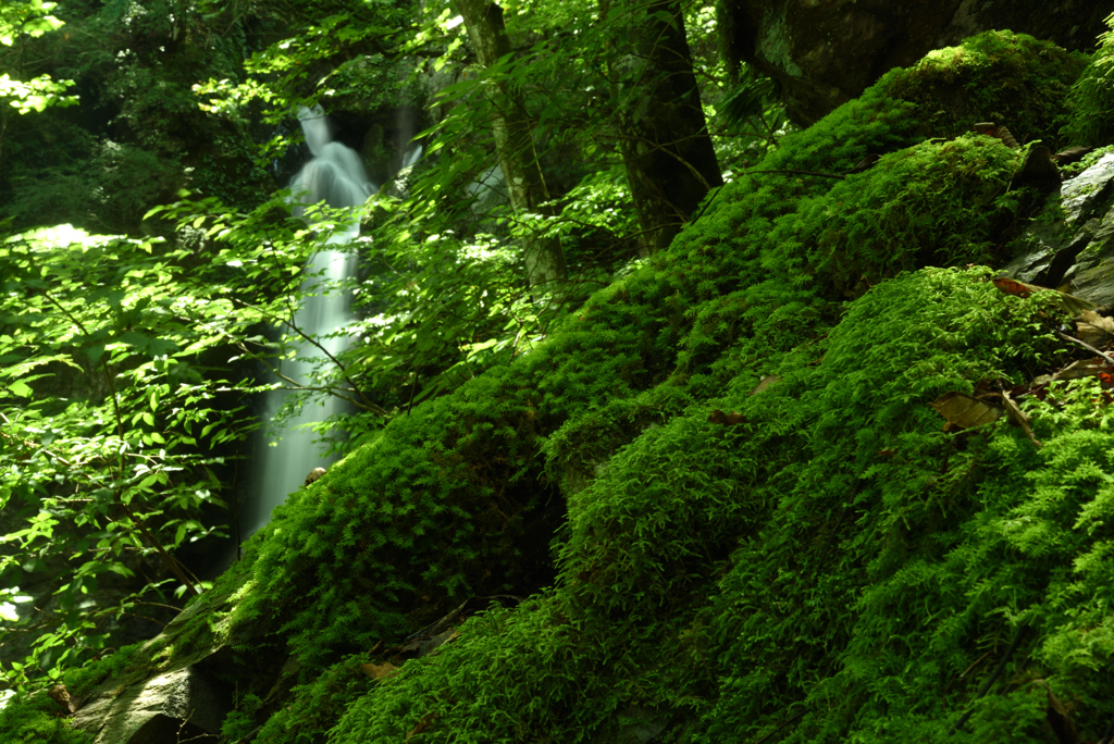 不動滝Ⅰ