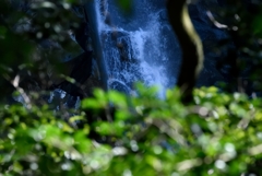 霧島の滝Ⅳ