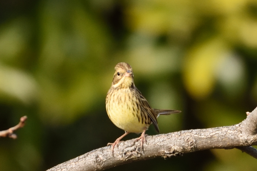 緊張感が伝わるような
