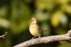 緊張感が伝わるような