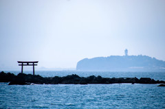 海に浮かぶ鳥居