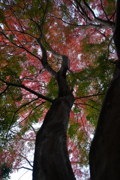 Crossroads of the Seasons