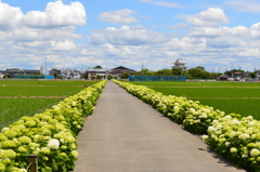 お城へのおじさいロード