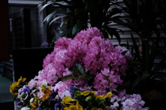 2017.4.20 朝  池袋→新大久保 001