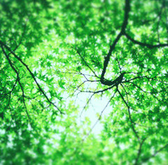 Screenshot_2016-06-23-17-41-14-1