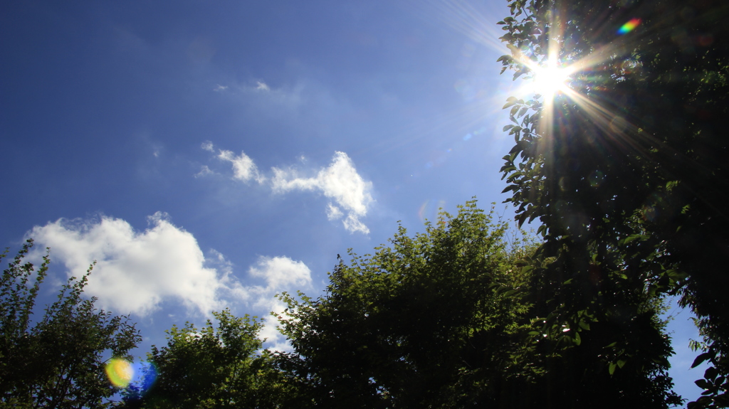 2018_晩夏_07