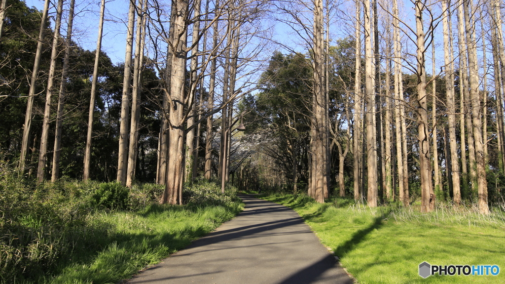 20190404_07　水元公園