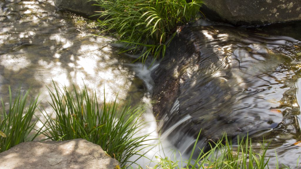 mejiropark_oct_005