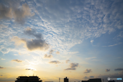 sky20190811