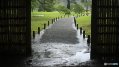 六義園_台風12号_04