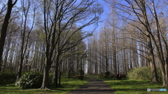 20190404_04　水元公園