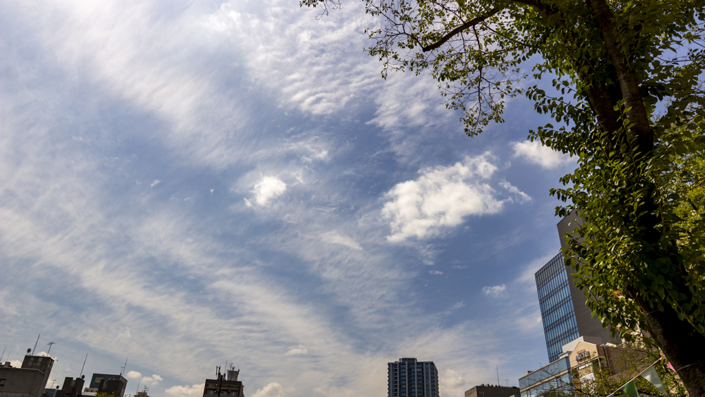 台風一過_20170919_01