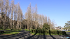 20190404_05　水元公園