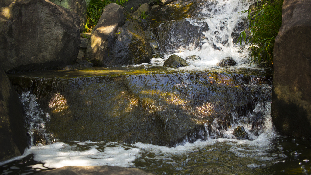 mejiropark_oct_004