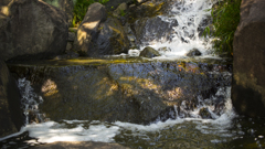 mejiropark_oct_004