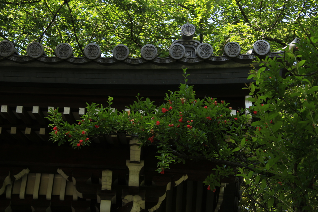 鮮やかな花
