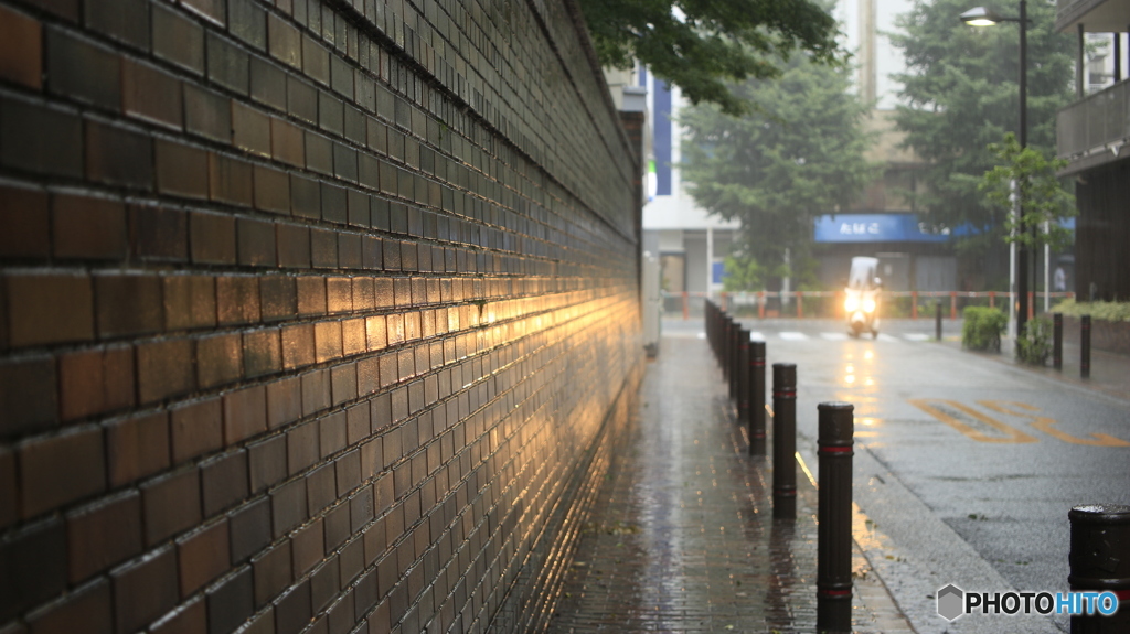 六義園_台風12号_05
