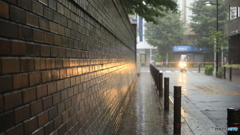 六義園_台風12号_05