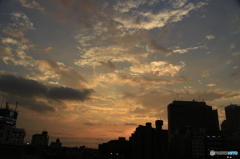 いつもの空