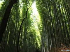 京都