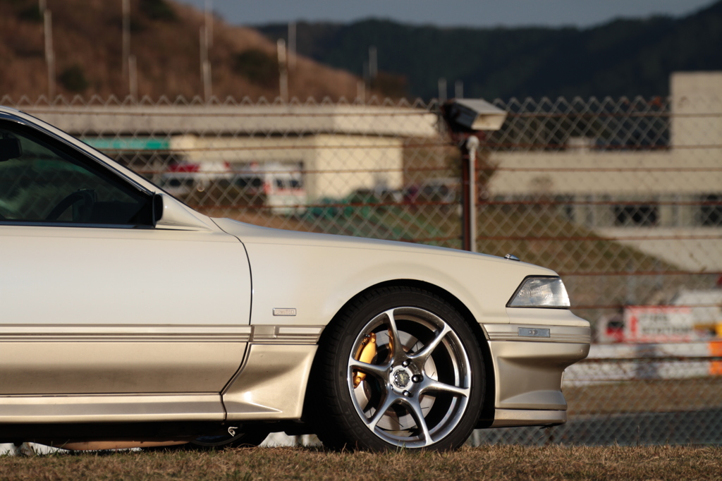 一眼ほしくなった