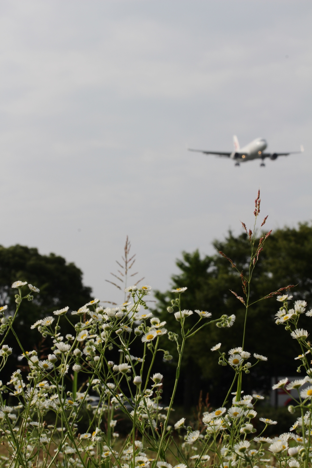 福岡空港