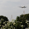 福岡空港