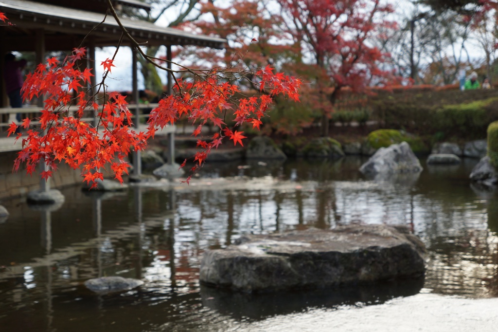 西山公園